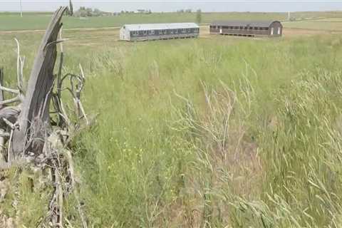 The Impact of Energy Resources on Local Vegetation in Post Falls, Idaho