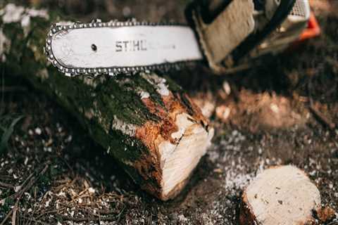 From Roots To Roofs: The Comprehensive Approach Of General Contracting And Tree Services In..