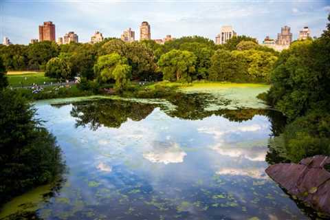 17 Beautiful Places in New York City That Are Sure to Delight