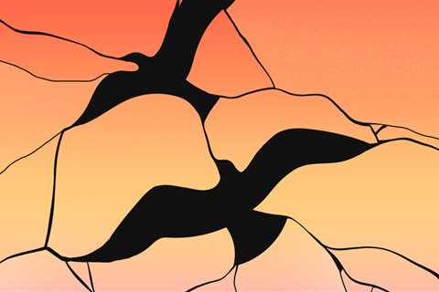 For Migrating Birds, It’s the Flight of Their Lives