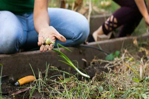 Funding Opportunities for Community Projects in Orange County: Make a Real Difference in Your..