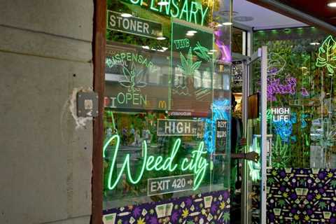 NY Licensing Settlement / Georgia License Skirmish / Harris Beach's Cannabis Co-Lead / Trulieve..