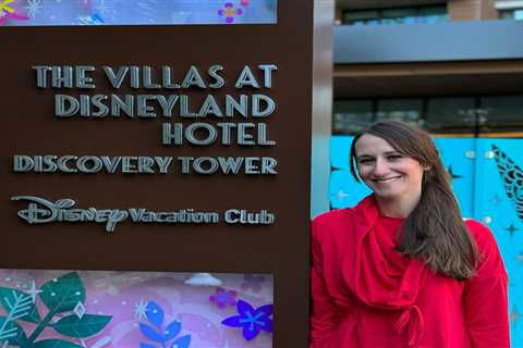 I stayed in a 250-square-foot studio at a Disney hotel. My bed pulled down from a wall, but it was..