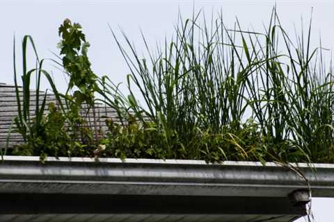 Gutter Cleaning Blackheath