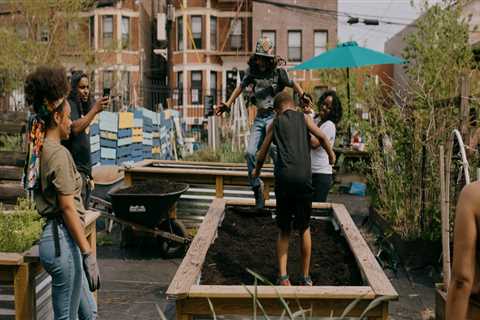 Raising Environmental Awareness in Bronx, NY: The Role of Environmental Groups
