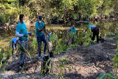 Exploring Volunteer Opportunities with Environmental Groups in Bronx, NY