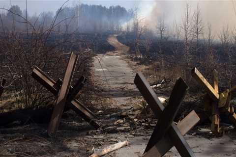 The Consequences of Neglecting Environmental Conservation in Herndon, VA