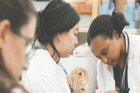 Promoting Education and Literacy in Loudoun County, VA: The Role of Nonprofit Organizations