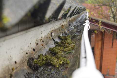 Gutter Cleaning Norton