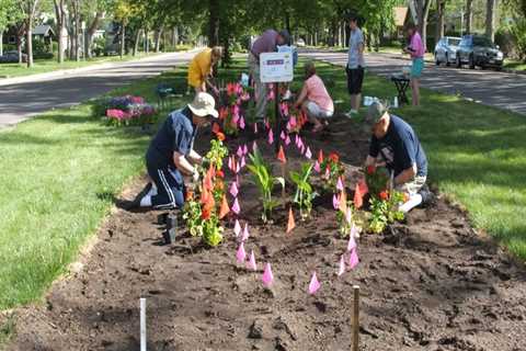 Make a Difference in Colorado Springs: Volunteer Opportunities