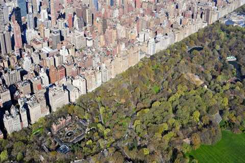 Exploring the Cultural Diversity of New York City