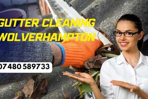 Gutter Cleaning Palfrey