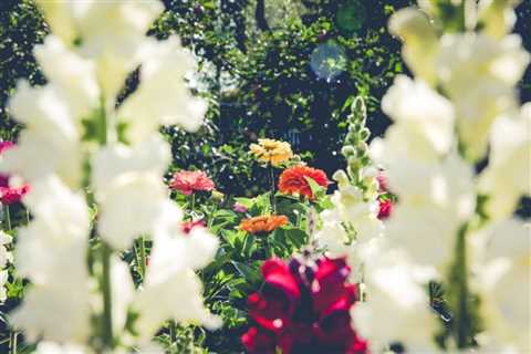 Here's what you need to now about no-dig gardening