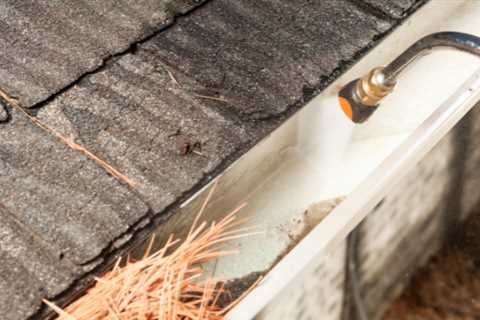 Gutter Cleaning Somerford