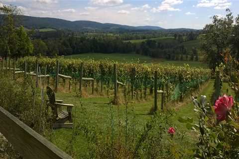 Supporting and Protecting Local Agriculture in Loudoun County, VA