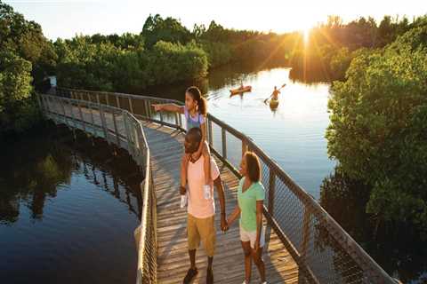 The Growing Trend of Family-Friendly Food Events in Manatee County, FL