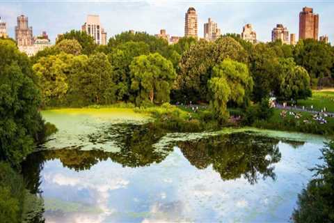 Exploring the Best Nature and Wildlife Views in Brooklyn, NY