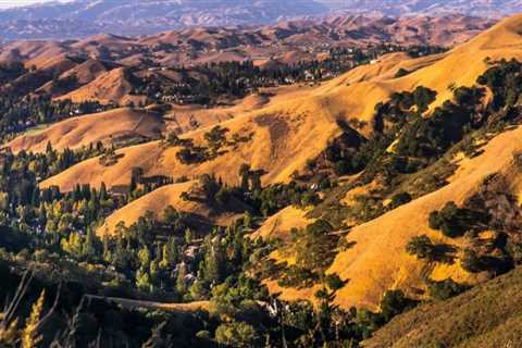 The Best Neighborhoods in Danville, CA: A Local Expert's Guide
