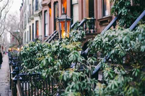 Exploring the Trendy Neighborhoods of Brooklyn, NY