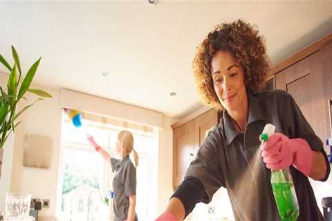 The Ultimate Guide to Handling Valuable and Fragile Items During Cleaning Services in Dallas County,..