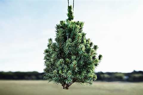Best car air fresheners of 2024
