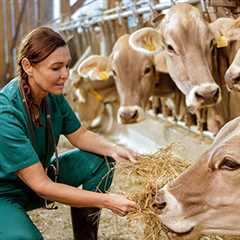 Here’s a proven way to address rural veterinary shortages