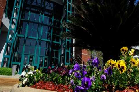 The Best Outdoor Event Spaces in Hattiesburg, MS