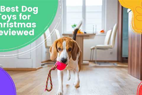 10 Best Dog Toys for Christmas Reviewed