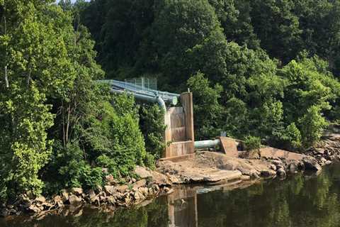 Exploring Education Options in Prince William County, Virginia