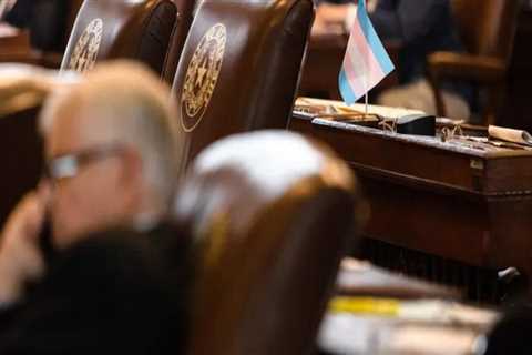 Will Translation Services be Provided During Conferences in Montgomery County, Texas?