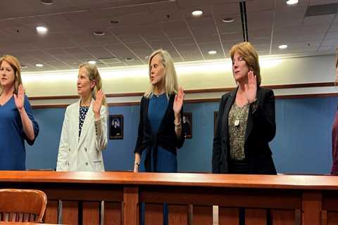 Partnerships of Women's Organizations in Fairfax County, VA: A Comprehensive Guide