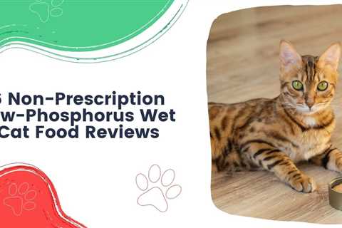 6 Non-Prescription Low-Phosphorus Wet Cat Food Reviews