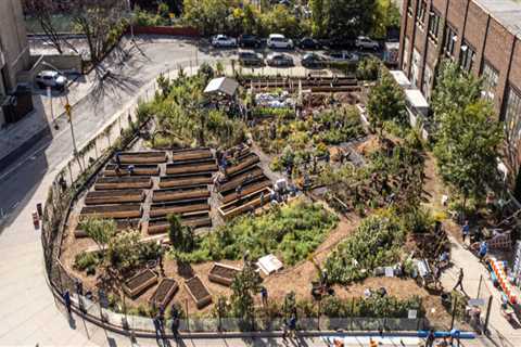The Lasting Impact of Projects in the Bronx, New York