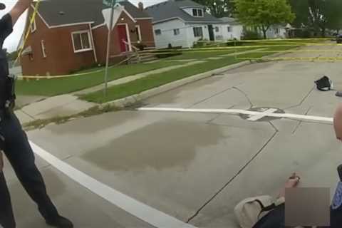 Video shows Mich. police officers rescue 8-year-old boy electrocuted by live wire