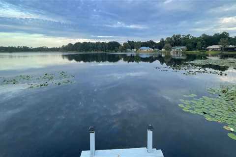 The Importance of Insurance Options for a Stress-Free Move in Broward County, FL