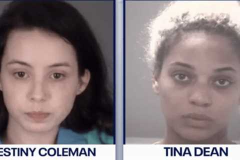 Dog mauls toddler while mother allegedly left to buy drugs