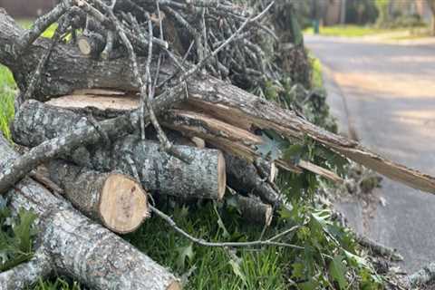 The Importance of Recycling and Waste Management in Spring Branch, TX