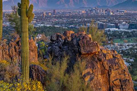 The Power of Industry Diversity in Maricopa County, AZ