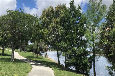 Discovering the Hidden Gems of Palm Beach County, FL
