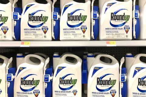 Roundup Trials in Four States? Monsanto Could Face Four Trials This Month