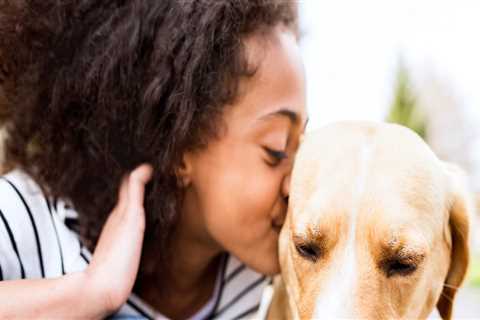 The Importance of Animal Hospitals in Augusta, GA