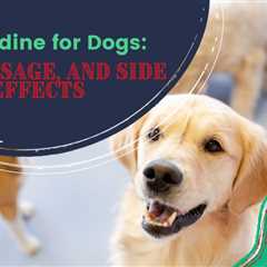 Famotidine for Dogs: Uses, Dosage, and Side Effects