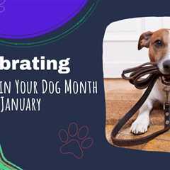 Celebrating National Train Your Dog Month – January
