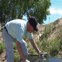 Get Involved in Colorado Springs Service Projects