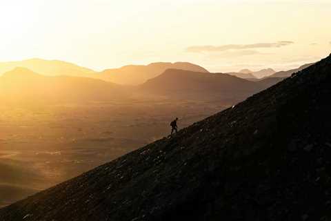 Test, Seek, Pray, Fight: The Pursuit of Holy Affections