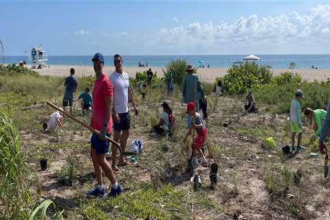 Volunteering in Miami-Dade County, FL: What Are the Fees?