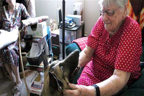 Finding the Right Home Care Services for Companionship Assistance in Blaine County, Idaho