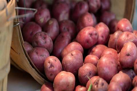 What is the Average Price Range for Products at Farmers Markets in Central Texas?