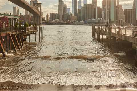 The Fascinating Evolution of Markets in Brooklyn, New York