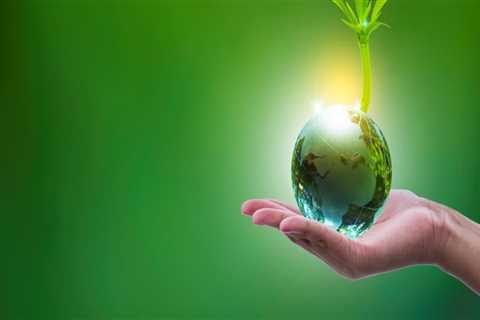 Environmental Conservation in Monroe, LA: Successful Projects and Initiatives